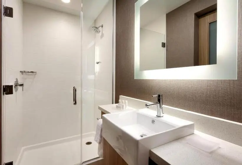 Sviitti King-vuode, Springhill Suites By Marriott Idaho Falls