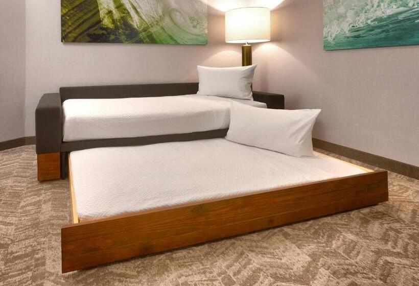 带大床的套房, Springhill Suites By Marriott Idaho Falls