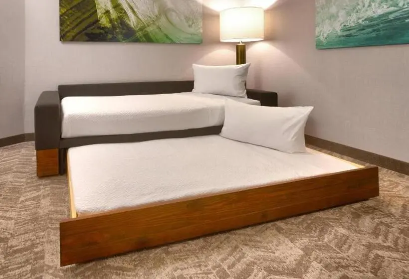 Sviitti King-vuode, Springhill Suites By Marriott Idaho Falls