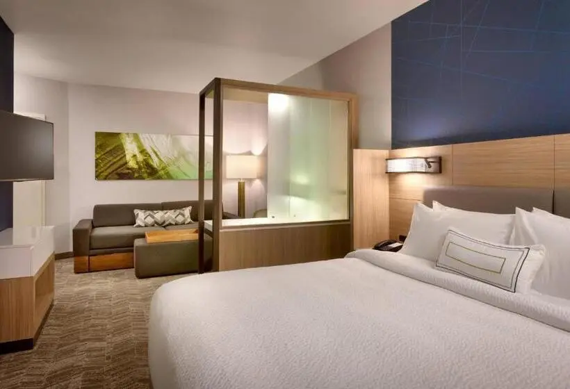 Sviitti King-vuode, Springhill Suites By Marriott Idaho Falls