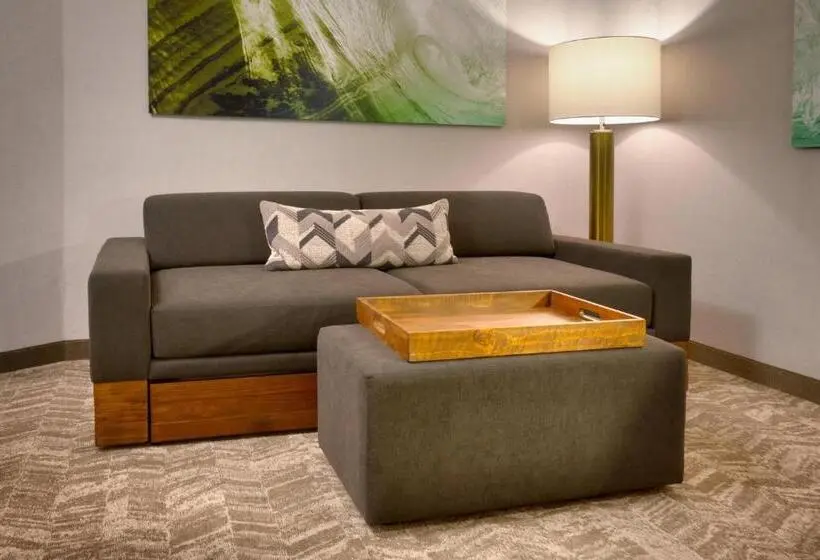 Sviitti, Springhill Suites By Marriott Idaho Falls