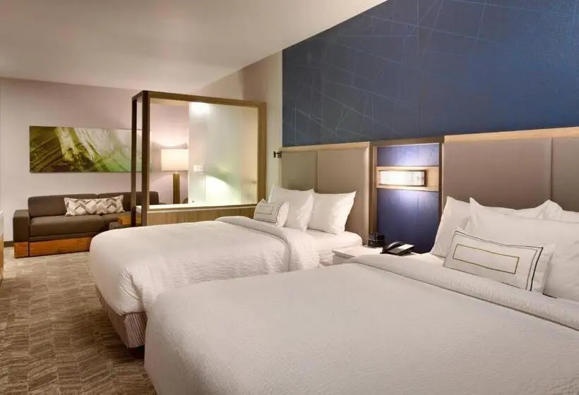 Sviitti, Springhill Suites By Marriott Idaho Falls