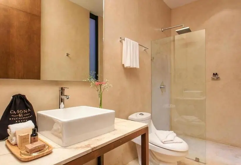 Premium room with terrace