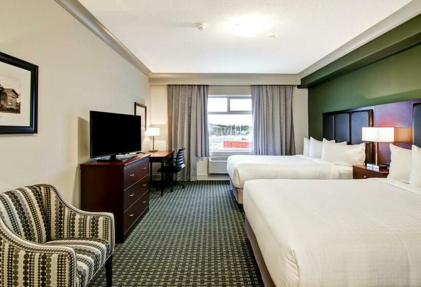 غرفة قياسية, Chateau Nova Yellowknife
