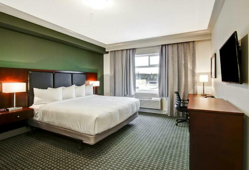 غرفة قياسية سرير كينج, Chateau Nova Yellowknife