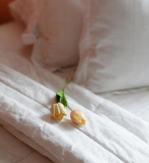 Aile Odası, Roemah 28 Syariah