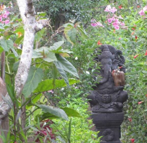 חדר דלוקס, Terrasse Du Lac Munduk