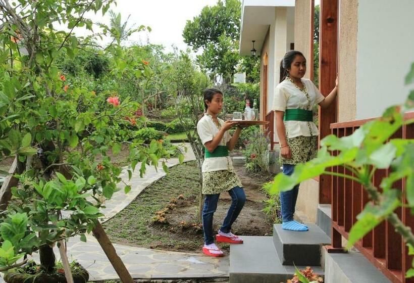 חדר דלוקס, Terrasse Du Lac Munduk