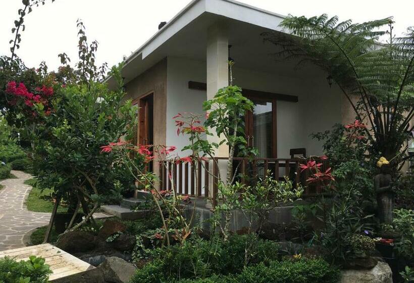 חדר דלוקס, Terrasse Du Lac Munduk