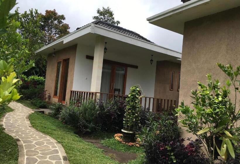 חדר דלוקס, Terrasse Du Lac Munduk