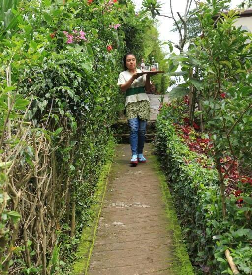 חדר דלוקס, Terrasse Du Lac Munduk