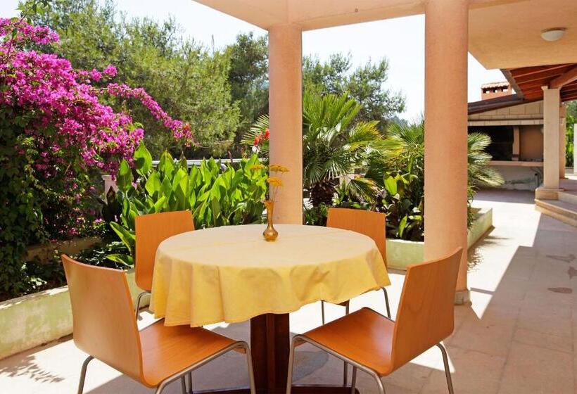 شقة غرفة واحدة, Apartments Vala