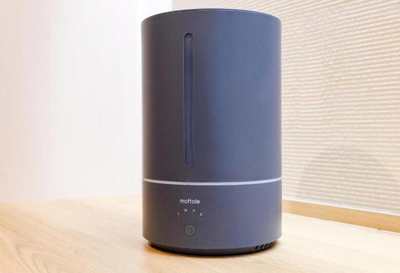 חדר סטנדרט, Fukui