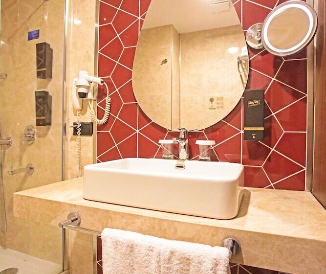 스탠다드 룸, Paşapark Selçuklu