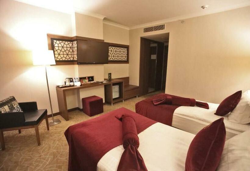 스탠다드 룸, Paşapark Selçuklu