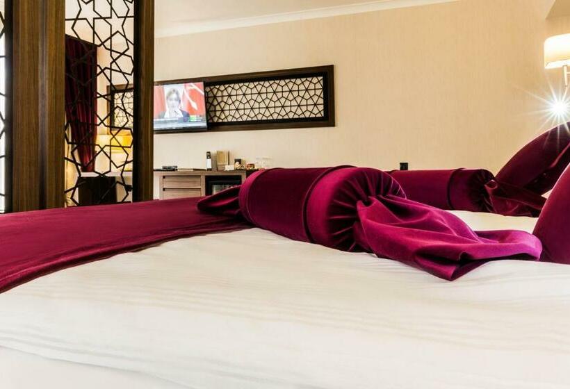 이그제큐티브 스위트, Paşapark Selçuklu