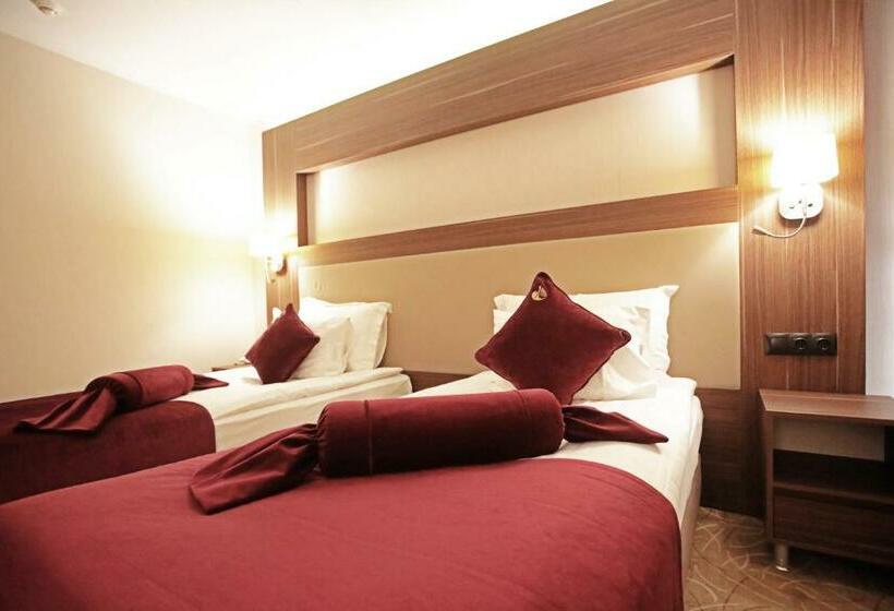 스탠다드 룸, Paşapark Selçuklu