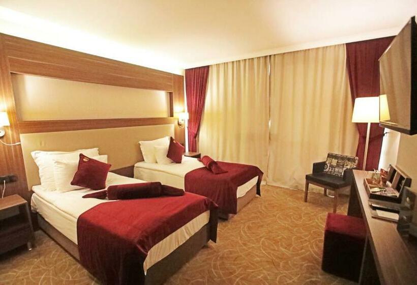 스탠다드 룸, Paşapark Selçuklu