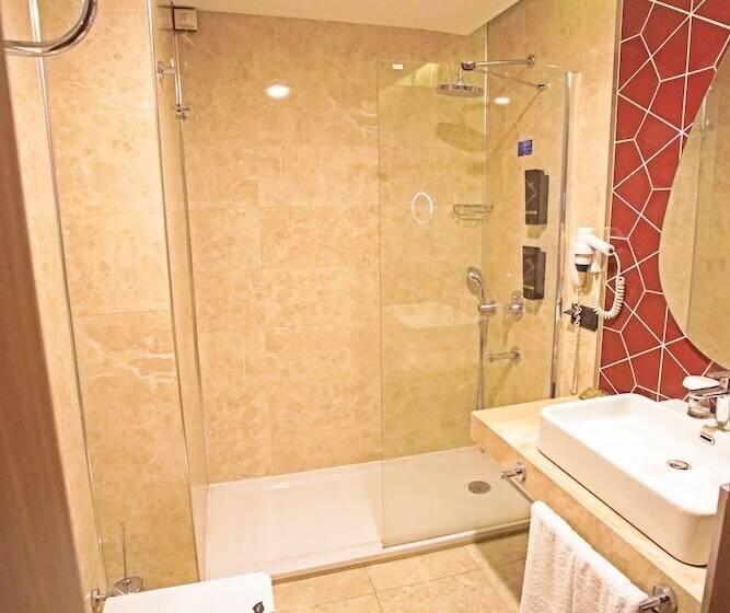 스탠다드 룸, Paşapark Selçuklu