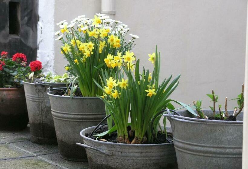 سوییت, B&b Singel 100