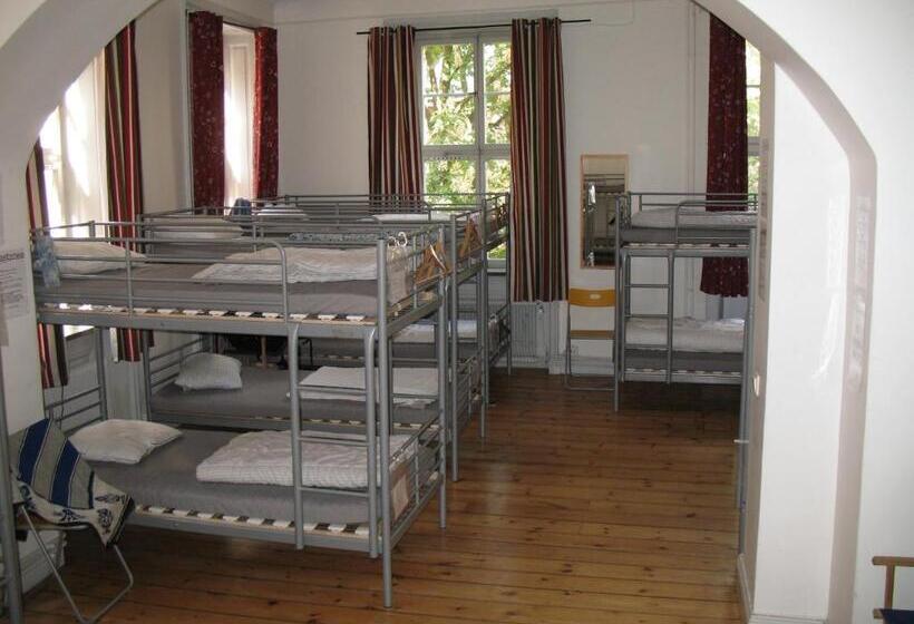 מיטה בחדר משותף, Castanea Old Town Hostel