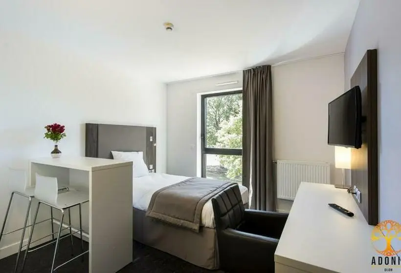 Standard-studio, Adonis Dijon Maison Internationale