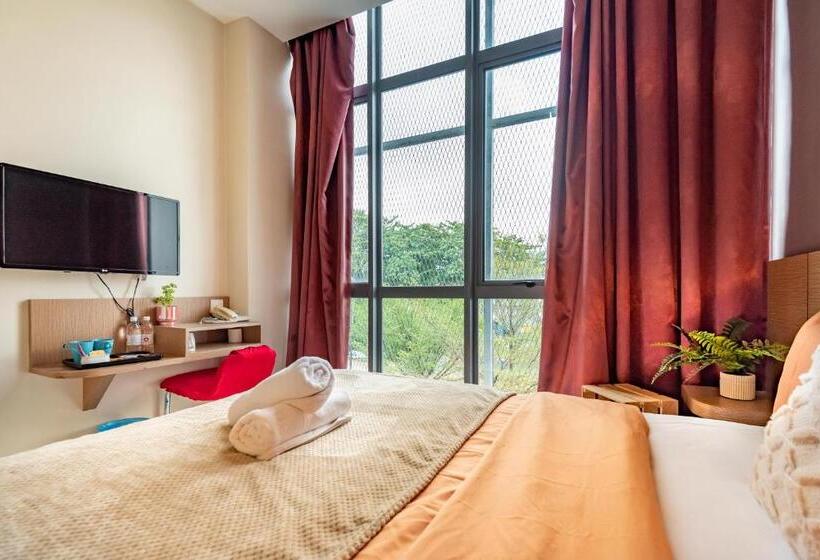 豪华房间, Harbour