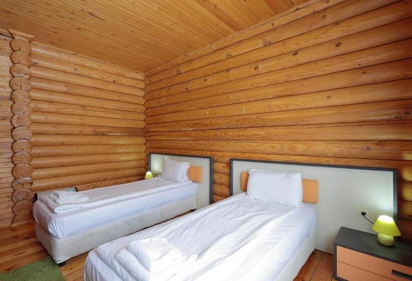 خانه 2 خوابه, Panorama