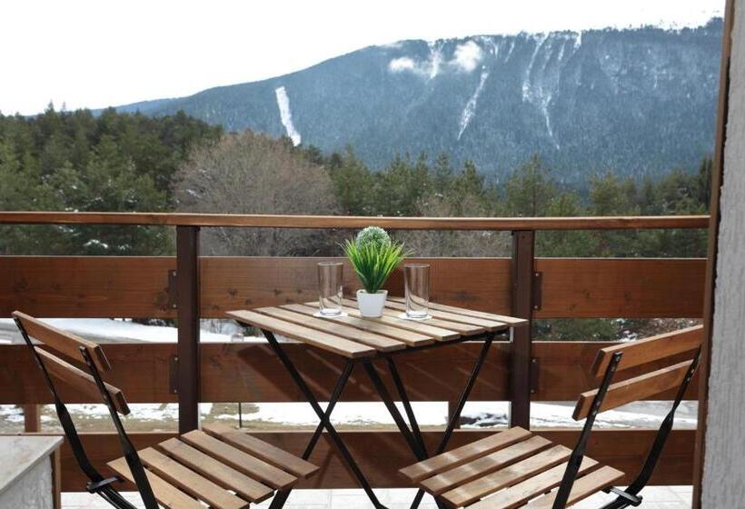 اتاق استاندارد, Panorama