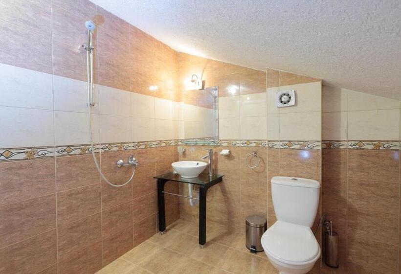 إستوديو سوبيريور, Panorama