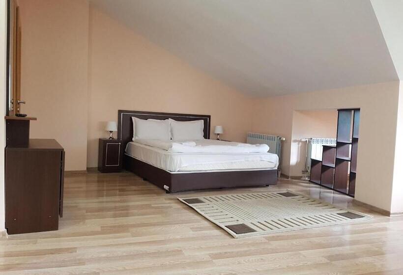 استودیو استاندارد با چشمانداز, Panorama