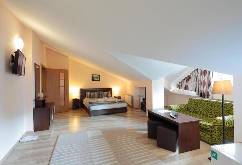 استودیو استاندارد با چشمانداز, Panorama