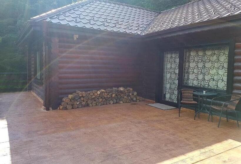 خانه 2 خوابه, Panorama