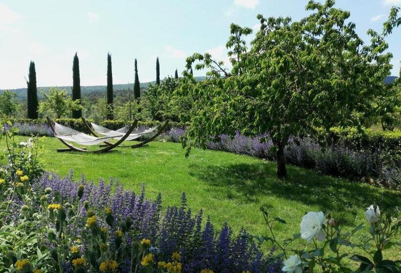 １ベッドルームアパートメント, Borgo De Brandi