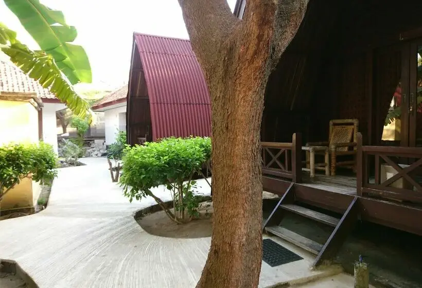 بانگلوی لوکس, Coral Beach 2 Bungalow
