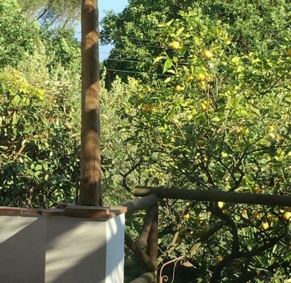 スタンダードルーム, Relais Villa Anna