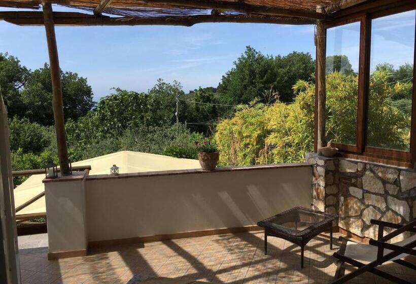 اتاق استاندارد, Relais Villa Anna