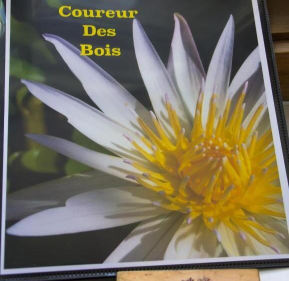 اتاق سوپریور, Le Coureur Des Bois