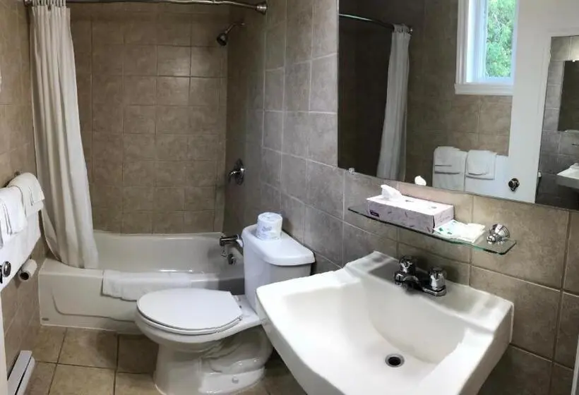 Standard-huone, Century Motel