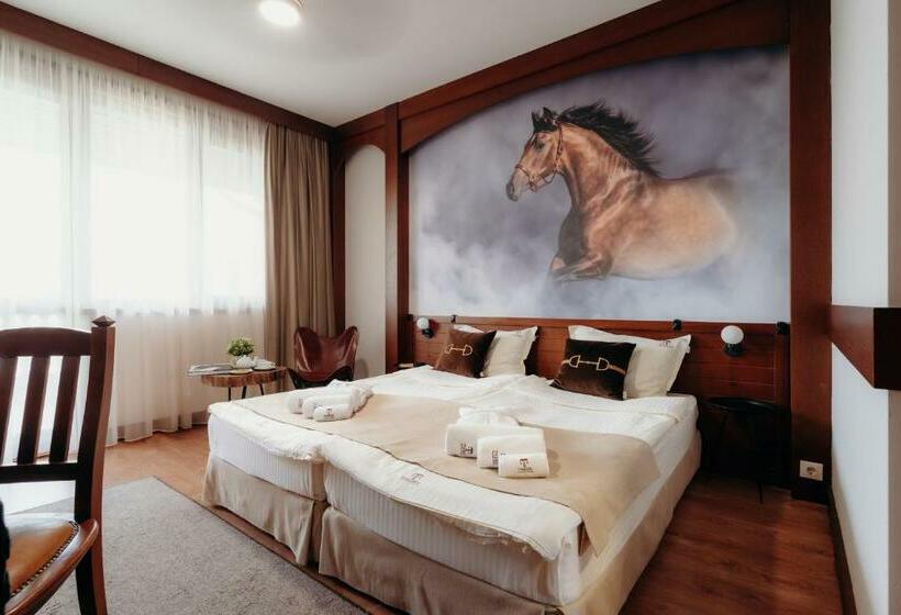 חדר סטנדרט, Boutique Complex Trakiets