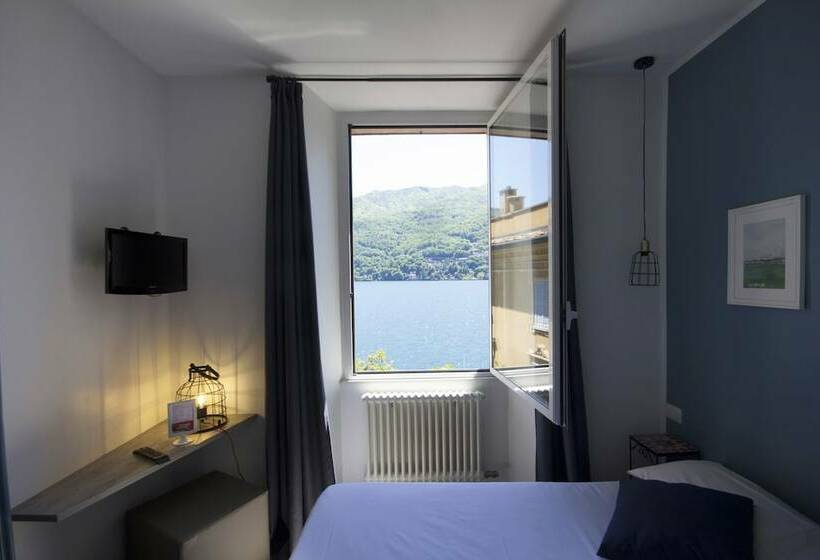 غرفة قياسية, Orso Bruno