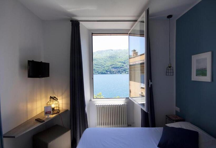 غرفة أساسية, Orso Bruno