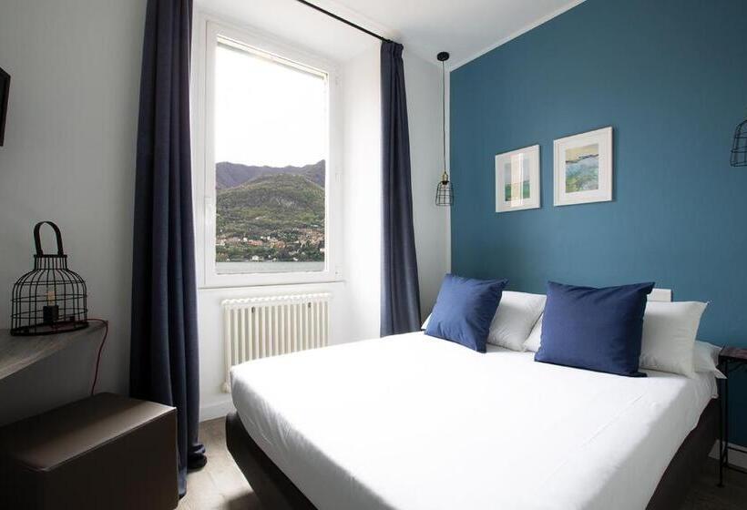 غرفة أساسية, Orso Bruno