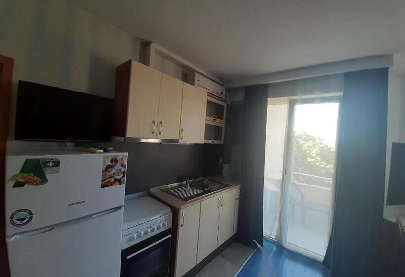 テラス付きスタンダードワンルーム, Paralax