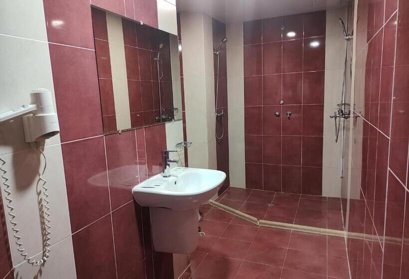 اتاق اکونومی, Paralax