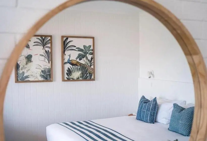 Standard-studio King-vuode, Mollymook Seascape Motel And Apartments