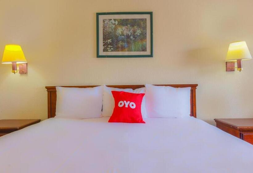 غرفة قياسية سرير كينج لذوى الإحتياجات الخاصة, Coastal Inn Corpus Christi