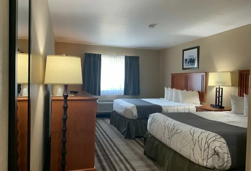 デラックスルーム, Bowman Lodge & Convention Center