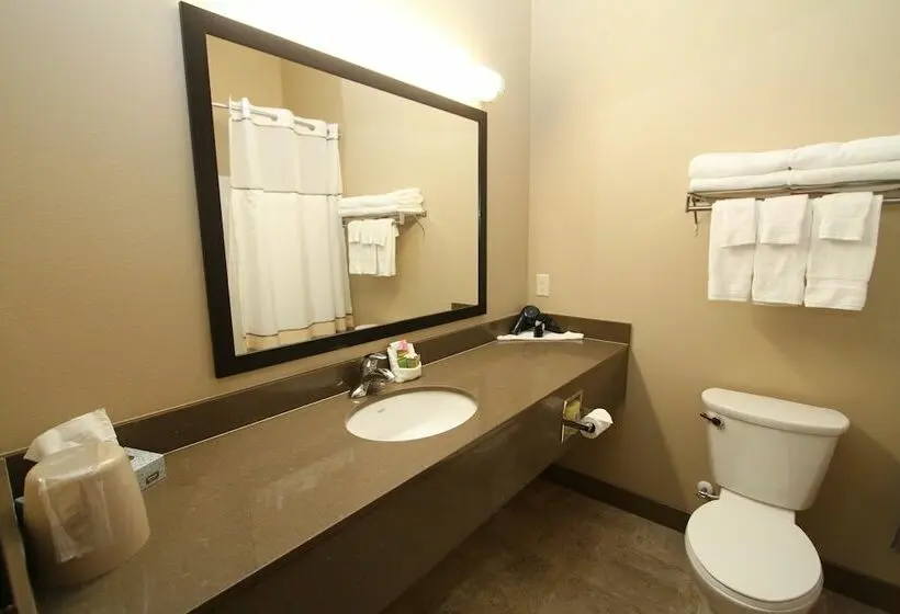 デラックスルーム, Bowman Lodge & Convention Center