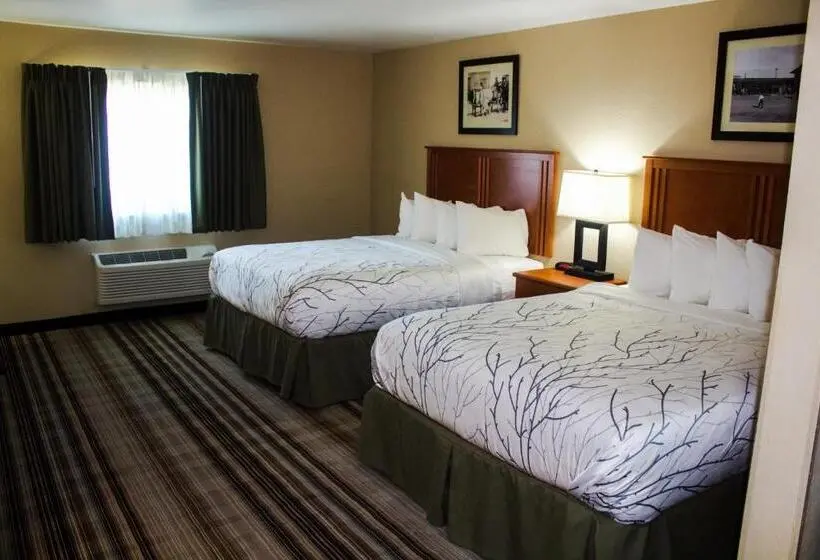 身障者適用スタンダードルーム, Bowman Lodge & Convention Center